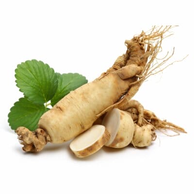 Ginseng Für Die Spermienqualität Spermienreifung Pimp My Sperm Unerfüllter Kinderwunsch Unfruchtbar