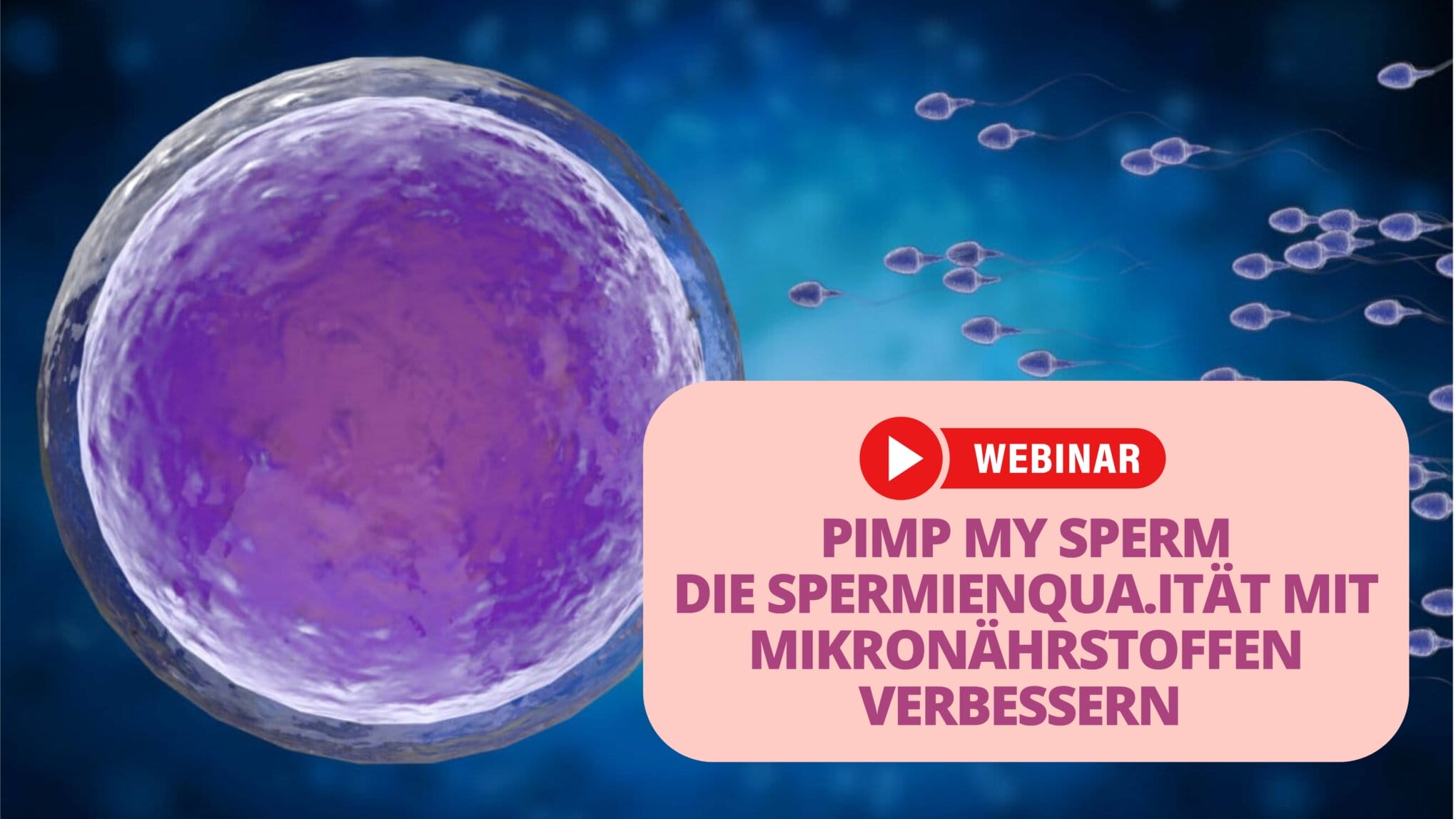 Kostenloses Kinderwunsch Webinar – Pimp My Sperm