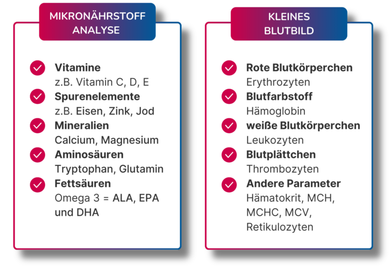 Mikronährstoffanalyse Für Den Kinderwunsch