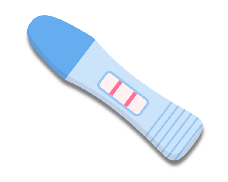 Schwangerschaftstest Ist Möglich