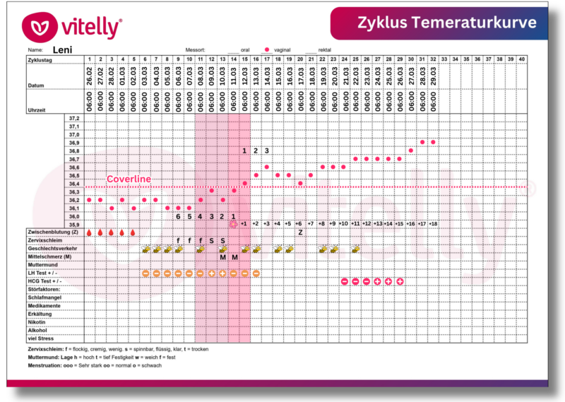 Zyklus Temperaturkurve