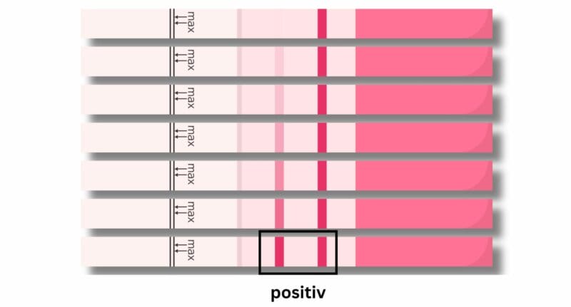 Positiver Ovulationstest Eisprung bestimmen