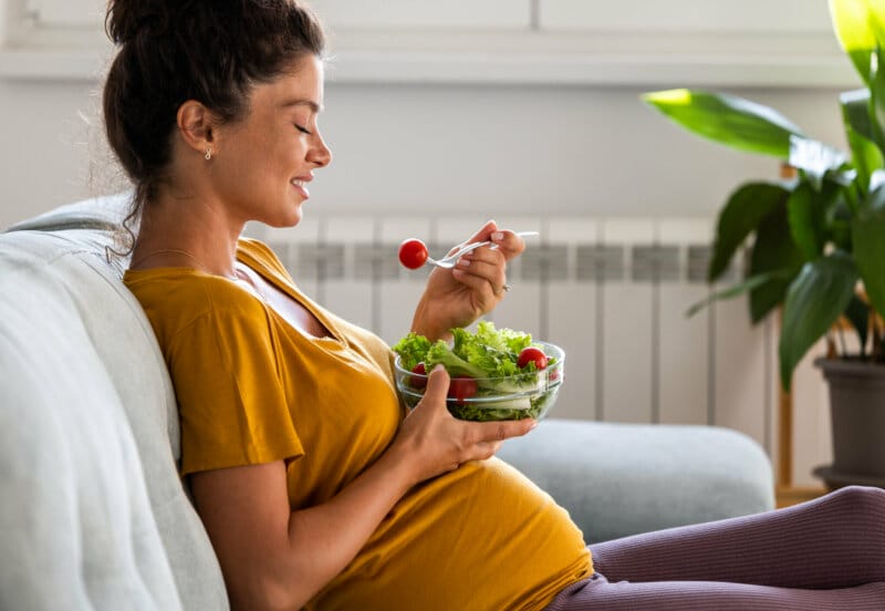 vegetarische und vegane Ernaehrung im Kinderwunsch und waehrend der Schwangerschaft